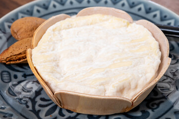 French cheeses collection, Saint-Felicien cow's milk cheese with white mold from Rhone-Alpes region of France