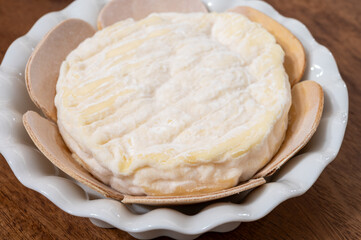 French cheeses collection, Saint-Felicien cow's milk cheese with white mold from Rhone-Alpes region of France