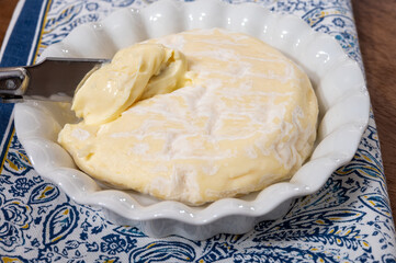 French cheeses collection, Saint-Felicien cow's milk cheese with white mold from Rhone-Alpes region of France