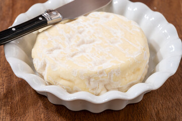 French cheeses collection, Saint-Felicien cow's milk cheese with white mold from Rhone-Alpes region of France