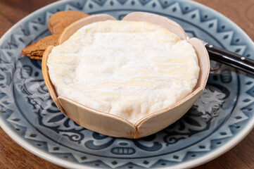 French cheeses collection, Saint-Felicien cow's milk cheese with white mold from Rhone-Alpes region of France