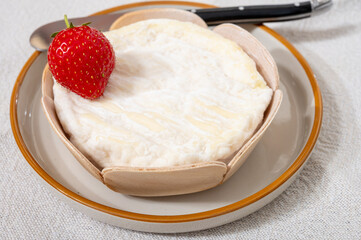 French cheeses collection, Saint-Felicien cow's milk cheese with white mold from Rhone-Alpes region of France
