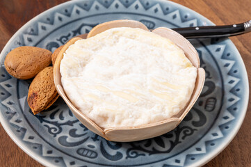 French cheeses collection, Saint-Felicien cow's milk cheese with white mold from Rhone-Alpes region of France
