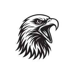 eagle head vector illustration