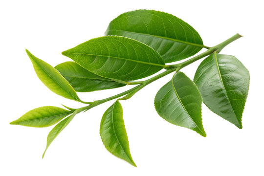 An abstract image of a swirling vortex of vibrant paint and light, capturing a sense of dynamic motion and cosmic energy
motion, energy