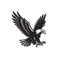 eagle vector illustration