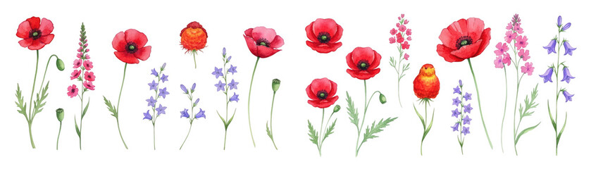 Vibrant hand-drawn illustration of various flowers, including red poppies and purple bellflowers.