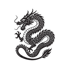 Fototapeta premium black dragon vector illustration