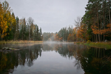 Swedish river and natural salmon area in autumn. Farnebnofjarden national park in north o Sweden.