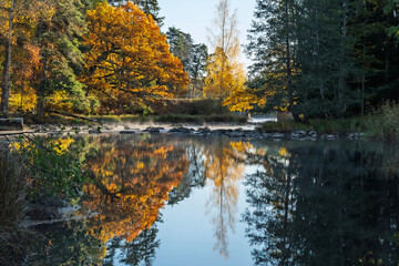 Swedish river and natural salmon area in autumn. Farnebnofjarden national park in north o Sweden.