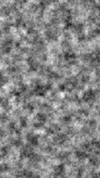 black and white abstract farctal noise animated abackground