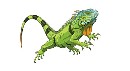 Fototapeta premium vibrant green iguana illustration transparent background for design projects