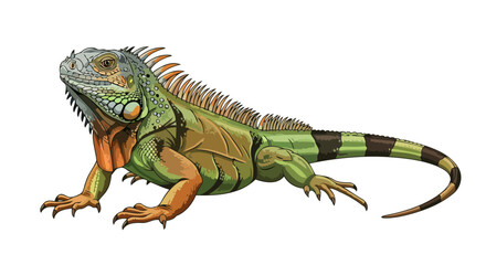 Obraz premium vibrant green iguana illustration transparent background for design projects