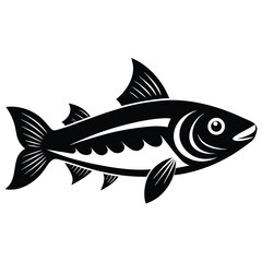Fototapeta premium Detailed black and white minnow fish vector illustration