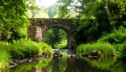 Fototapeta premium Ancient Stone Bridge Over Reflective River Surrounded By Lush Green Foliage and Trees