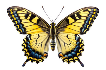 Obraz premium Eastern tiger swallowtail butterfly isolated on transparent background