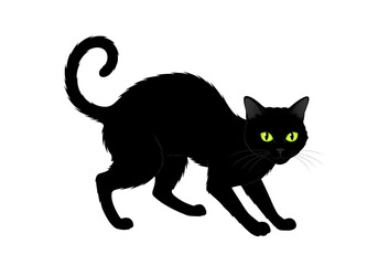 Mysterious Black Cat A Dark and Enigmatic Feline Silhouette isolated on transparent background
