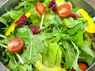 サラダ　野菜