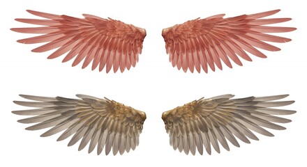 Colorful detailed angel wings graphic design