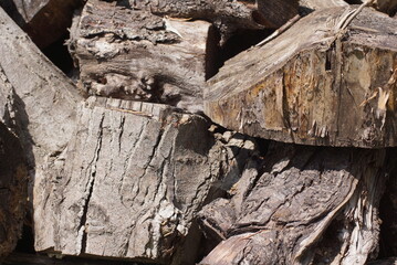 old wood texture