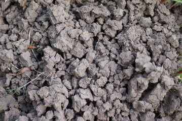 ground texture
