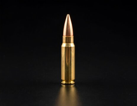 Single cartridge, pointed tip