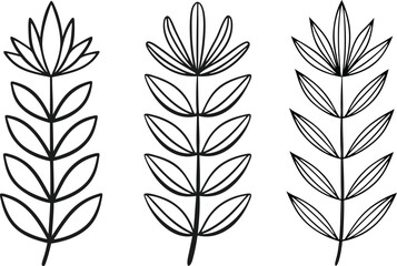 Fototapeta premium Three simple hand drawn black and white floral botanical illustrations on a white background