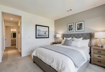 A bright and modern bedroom with a chic gray accent wall, a comfortable upholstered bed, and minimalist nature-themed art for a serene and stylish interior design.
