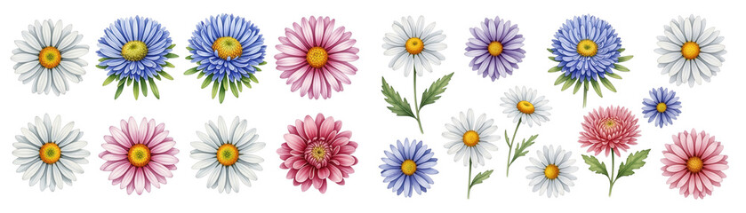 A vibrant arrangement of colorful flowers featuring white, blue, pink, and purple daisies.