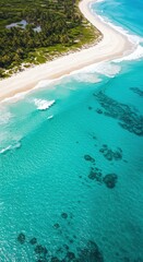 Aerial view of tropical beach with white sand shoreline turquoise water clear waves lush green trees coastline scenic ocean view in a remote island tropical paradise wide-angle shot