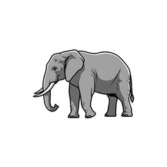 Obraz premium elephant vector illustration