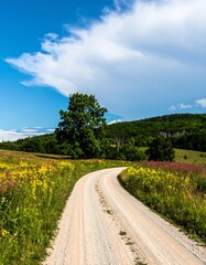 Naklejka premium Scenic country road through wildflowers