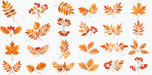 A collection of vibrant autumn foliage illustrations, featuring orange and yellow leaves from various trees and red rowan berries.