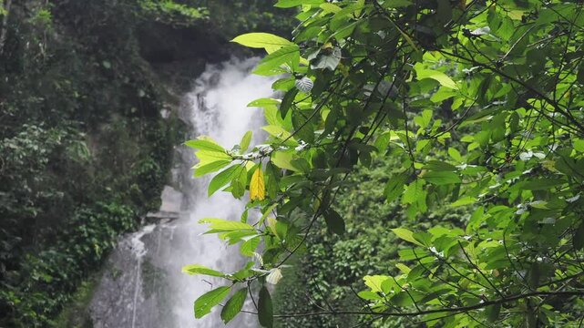 Waterfall 357 in the deep forest of Sai Rom Yen National Park