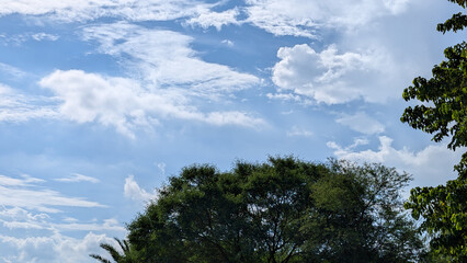 Serene Summer Sky. Lush Green Treetops Against a Blue Sky with Fluffy White Clouds, Peaceful Nature Scene