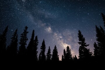 Silhouetted trees beneath a starry sky highlighting the stunning milky way for peaceful nature lovers and night sky enthusiasts seeking serene landscapes and celestial beauty