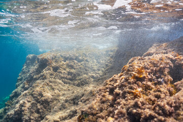 Sunlight filters through the sea surface to illuminate a beautiful underwater rocky reef covered in algae and seaweed.
