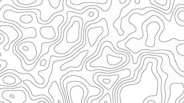 White Abstract Topographic Background Animation.  Topographic Terrain Map Animation. Seamless Loop. Ultra HD 4k