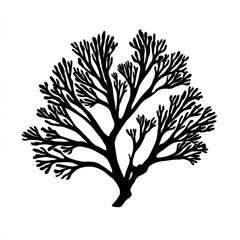 Obraz premium Black and white silhouette of a leafless tree with intricate branches extending outward