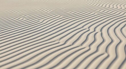 Obraz premium Serene view of undulating sand dunes with rhythmic patterns sculpted by the wind