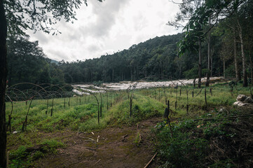 Scenic View of Pha Dok Siew Waterfall in Chiang Mai, Thailand