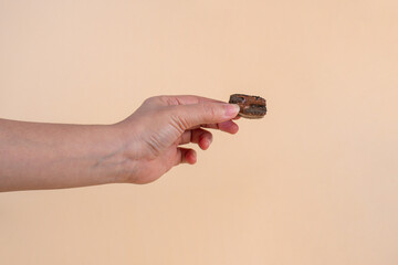 Nougat is a chocolate snack in hand on a cream background.