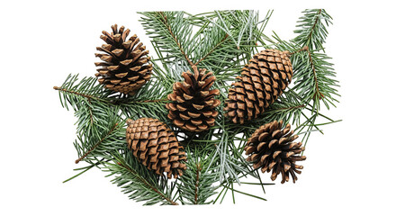 Fototapeta premium Pine Cones And Fir Branches Winter Holiday Decor