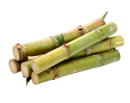  Organic Sugarcane for Natural Food and Agriculture Design