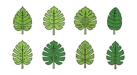 Obraz premium Tropical leaf collection with black outline in various shades of green