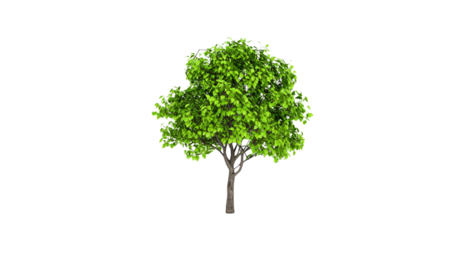 A modern tree with green foliage arranged in hexagonal cells, representing innovation and sustainability isolated on solid white background Png form