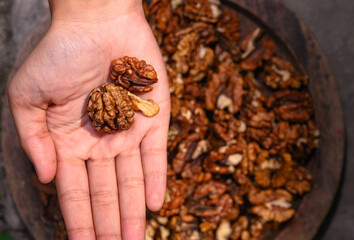 Kashmir Walnut Kernels High Oil Content, Crunchy Texture, And Rich Flavour, Sweet Taste Balanced Rich Source Of Energy, Minerals, Nutrients, Antioxidants, Vitamin E, And Omega-3 Fatty Acids. Brain 