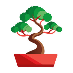 bonsai tree on white background