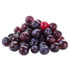 Fototapeta premium Pile of dark purple and red berries