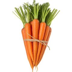 Fresh orange carrots with green leaves isolated on white background